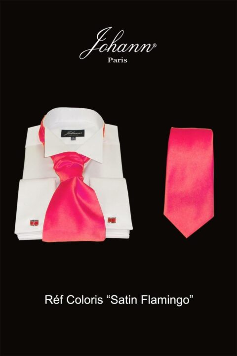 Ascot / Lavallière – Cravate – Nœud Papillon Flamingo