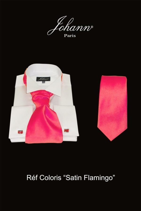 Ascot / Lavallière – Cravate – Nœud Papillon Flamingo