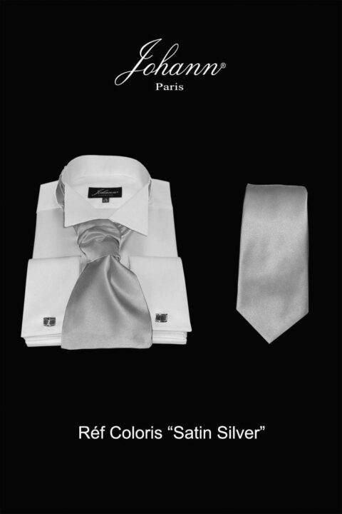 Ascot / Lavallière – Cravate – Nœud Papillon Gris Argent
